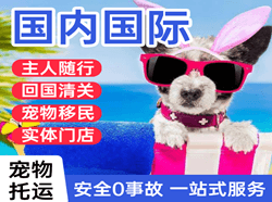 张孝机场托运国际宠物托运 【国