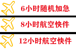 张孝机场托运快递公司,专业空运当天件